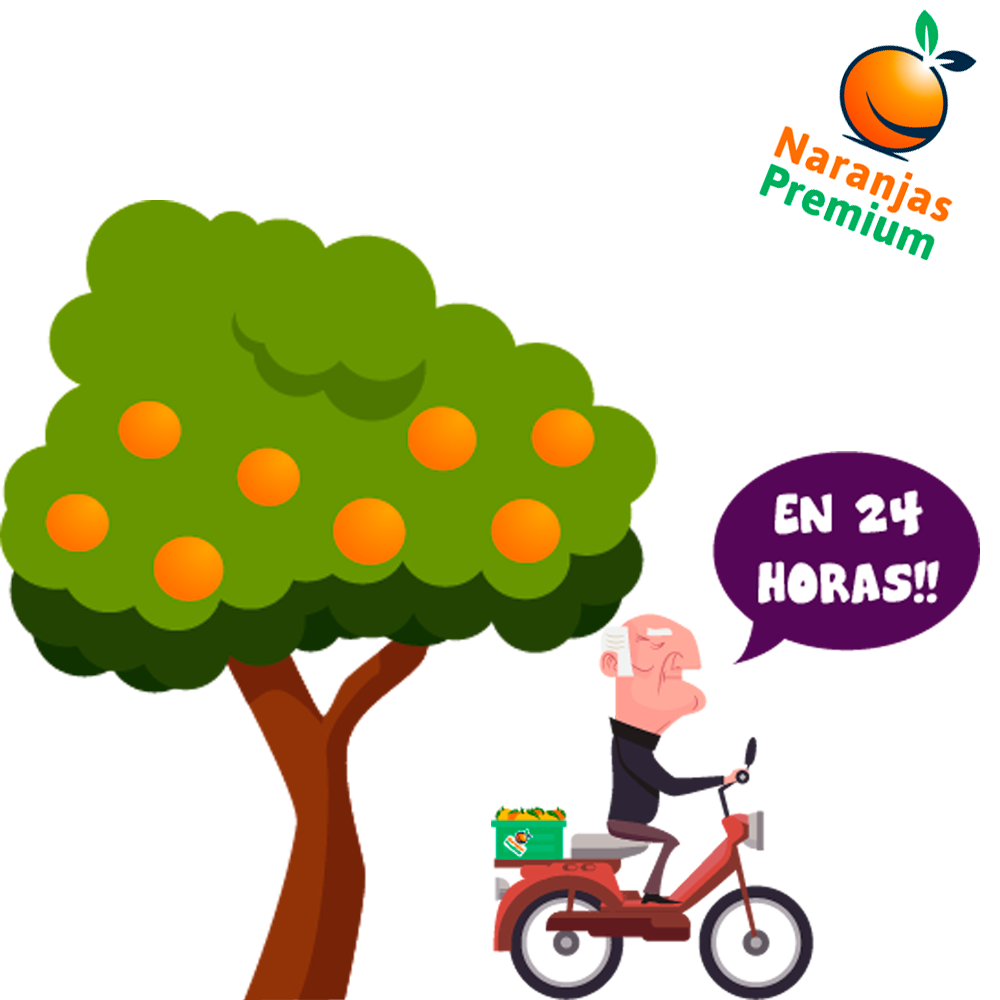 50 términos de búsqueda para comprar naranjas online